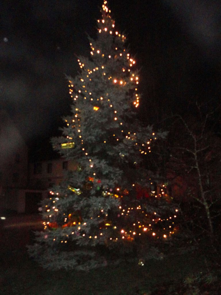 Ist er nicht prächtig, unser Weihnachtsbaum?