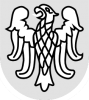 Wappen_SSV-Klingenberg-sw2